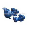 Bosin 2BV water/liquid ring vacuum pump 2BV2060